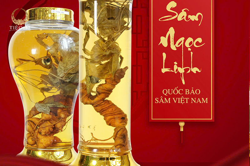 Bộ quà tết ý nghĩa nhất năm 2025: Quà tết an khang - Phúc mãn gia viên Bộ quà tết ý nghĩa nhất năm 2025: Quà tết an khang - Phúc mãn gia viên