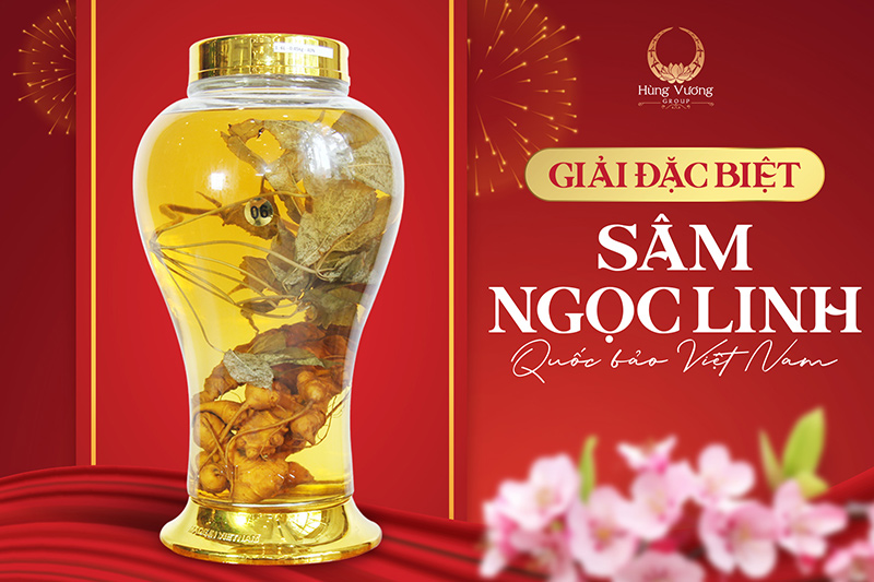 Chương trình Hái lộc đầu xuân 2025 trên toàn hệ thống nhà hàng Tiệc 37: ĐÓN ẤT TỴ SANG - RINH GIẢI THƯỞNG VÀNG Chương trình Hái lộc đầu xuân 2025 trên toàn hệ thống nhà hàng Tiệc 37