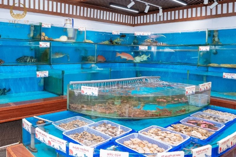 Địa điểm đặt tiệc sinh nhật tại Hà Nội không nên bỏ qua Địa điểm đặt tiệc sinh nhật tại Hà Nội không nên bỏ qua